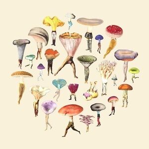 Art of Nature Mushroom Blank Greeting Card, Cream, Bundle Item